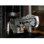 Location Nacelle araigne TSJ 30 ROUES 4